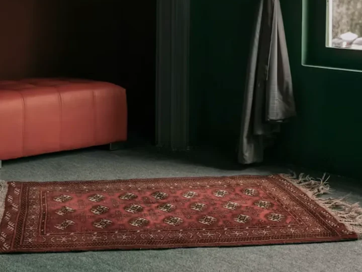 Small red Persian rug in the hallway
