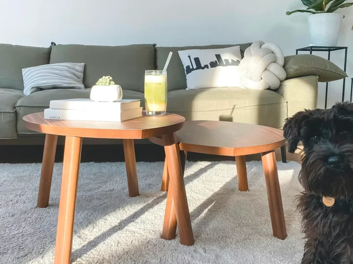Living room with a sofa, coffee table, and a dog on the carpet